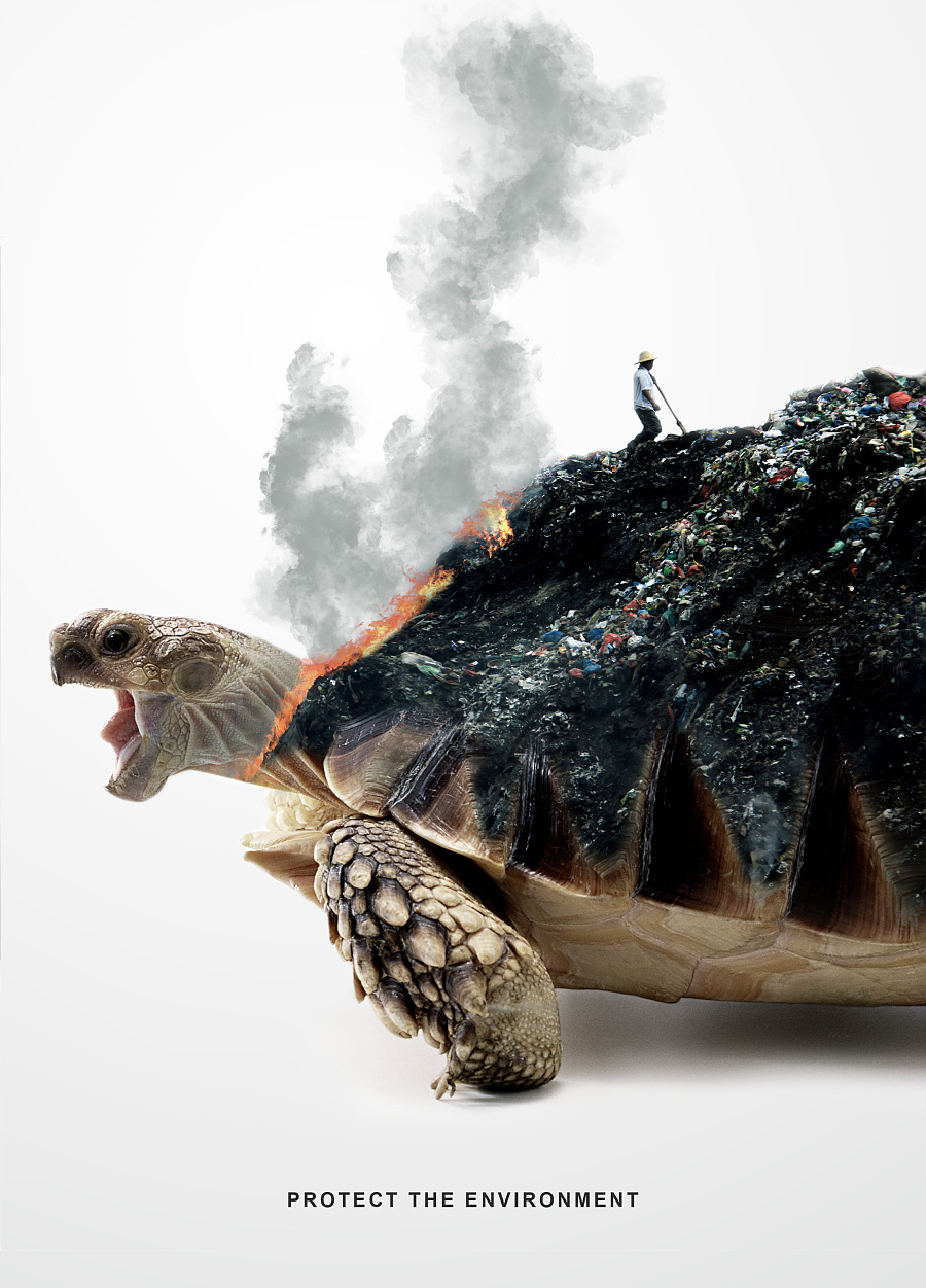 用藝術點亮動物保護 胡子韓原創文藝海報設計