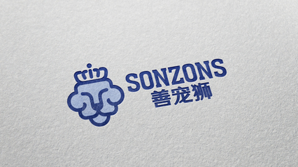 上海賽上品牌設計公司 以專業策劃重塑企業形象，賦能商業價值